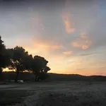 Harmonic Place * لوتراكي