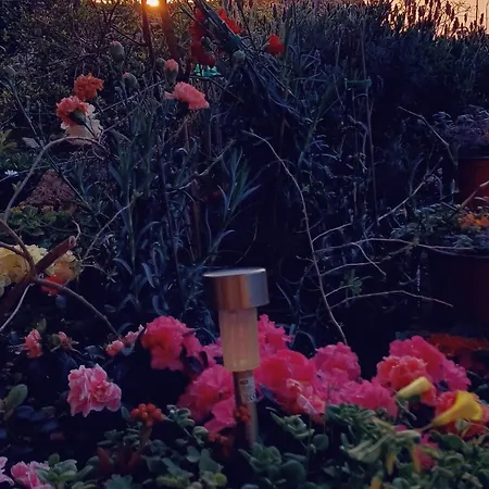 Harmonic Place * Loutráki