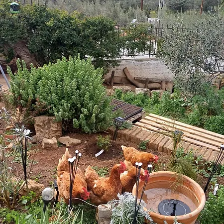 Διαμέρισμα Harmonic Place