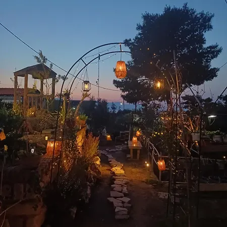 Harmonic Place *