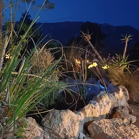 Harmonic Place Apartment