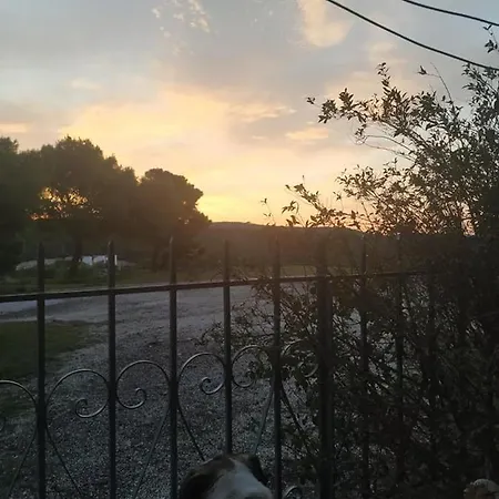 Harmonic Place Apartment *