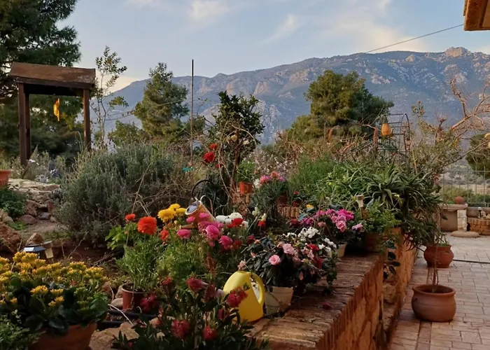 Harmonic Place Loutráki