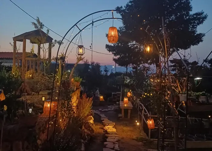 Harmonic Place *