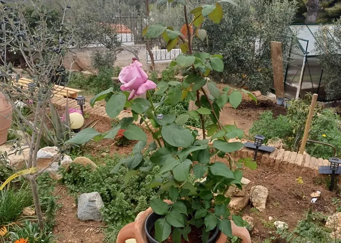 Harmonic Place Διαμέρισμα